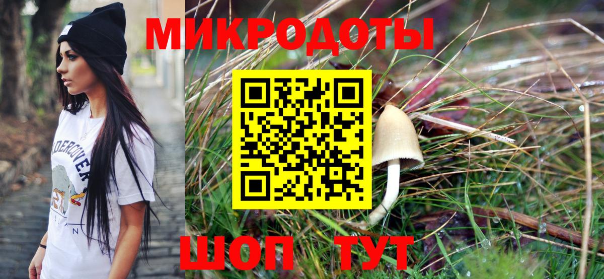 Псилоцибиновые грибы мицелий  Псилоцибиновые грибы Psilocybine cubensis  Альметьевск  Вход с VPN 